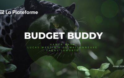 Projet Étudiant B1 : Budget Buddy
